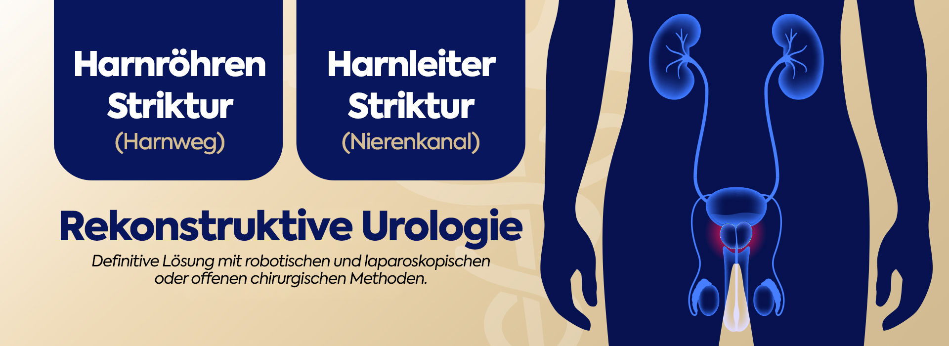 volkanizol_banner_üreter&üretra_tr